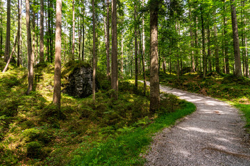 Fantastic round hike around the beautiful Eibsee at the Tiroler Zugspitze Arena
