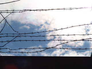 light and sky are visible behind barbed wire