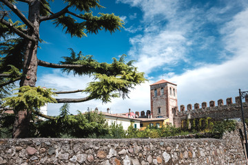 Naklejka premium Wehrturm, Mauer, Baum
