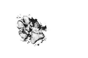 Dog dirty black track isolated on white background. Dog footprint - 331906876
