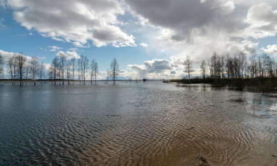 Fototapeta na wymiar sunny landscape with lake, cloud glare in water