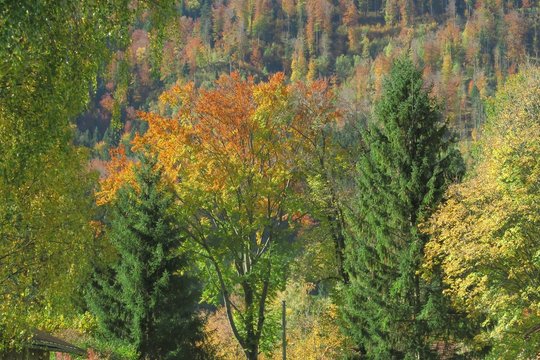 Schönes Bayern im Herbst © Stephan