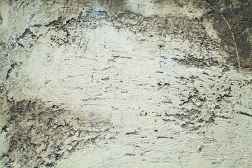 Old gray textures wall background. Perfect background with space.