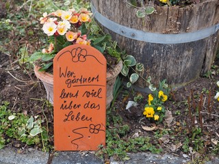 Weisheit - Wer gärtnert lernt viel über das Leben	