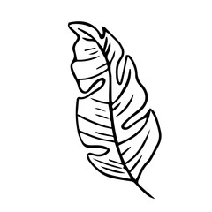 Single hand drawn exotic tropical leaf. In doodle style, black outline isolated on a white background. Cute element for cards, posters, social media banners, stickers. Vector illustration.