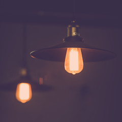 Retro edison lighting decor