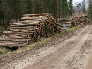 A stack of wooden logs piled on the side of the road