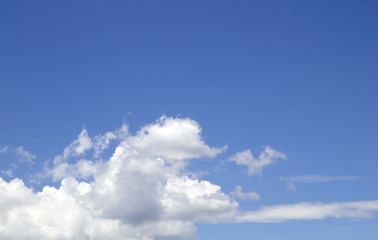 Sky blue background. Natural background