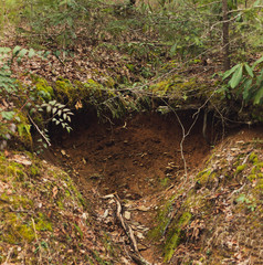 Hole in the gfrounfd