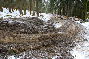 Tourist trail destroyed while skidding of wood, Masyw Snieznika, Sudety, Poland