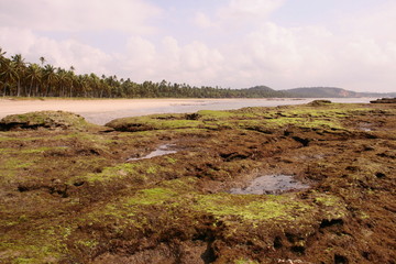 PAISAJES DE BRASIL, PLAYAS Y PALMERAS