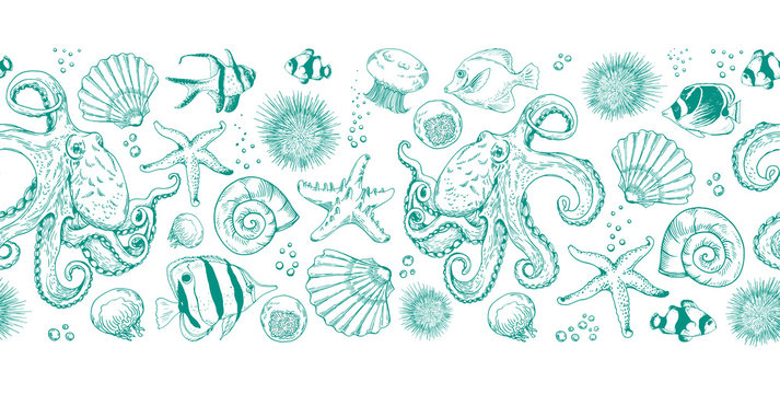 Seamless horizontal border with octopuses, shells, fishes and underwater creatures.