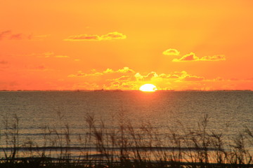 PAISAJES DE BRASIL, PLAYAS Y PALMERAS