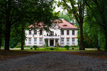 Palace in park