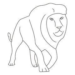 Obraz premium Lion Line Art Clip Art