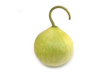 Round Bottle Gourd (Ghiya Gol) isolated on white. © Virender Singh