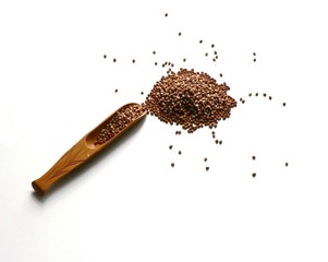 Top view buckwheats on sackcloth with wooden spoons on white background. Buckwheats in a spoon and spread around, gluten free ancient grain for healthy diet. Buckwheat grains. Grain culture.