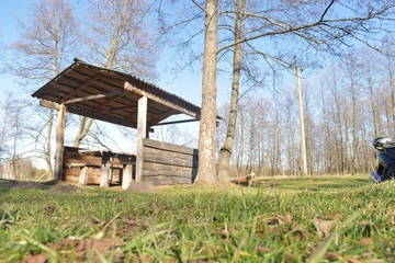 old house in the forest