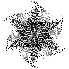 Children coloring, drawing. Leaves set of different plants and trees. Star shape or snowballs. Black and white snowflake.