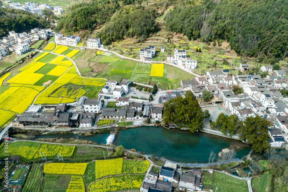 Wall mural ancient rural rapeseed flowers in spring, hongguan village, wuyuan, jiangxi