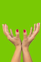 Closeup view photography of two beautiful manicured female hands making supportive gesture isolated on green background. Woman holding both hands together as if demonstrating big round object.
