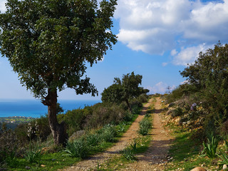 Beautiful country nature green hills landscape near Paphos Cyprus