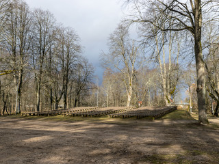 landscape with rows of wooden benches in the park