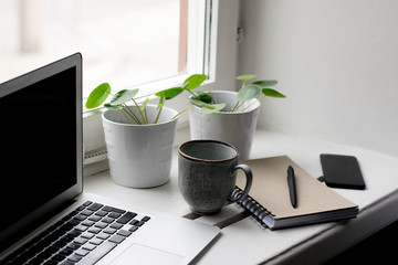 Workplace at home with cup of coffee, laptop, plants, mobile, notebook and pen on table