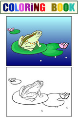 Children coloring and color toad, a frog is sitting on a water lily. Black and white. Cartoon raster