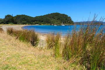 Coastline on beautiful Motuarohia Island in the Bay of Islands, New Zealand