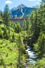Photo sur Plexiglas Viaduc de Landwasser Bernina Express, voyageant de Lugano à Saint-Moritz
