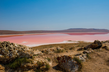 розовое озеро соленое на полуострове Крым