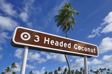 Kingdom of Tonga – Roadsign at the 3 Headed Coconut at Tongatapu