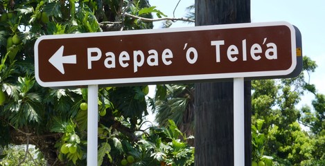Fototapeta premium Kingdom of Tonga – Roadsign for the Paepae o Teleʻa Royal Tombs at Tongatapu
