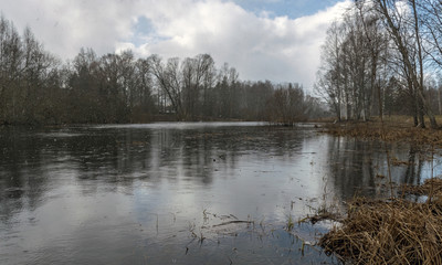 sunny landscape with a lake in the distance and dry reeds in the foreground