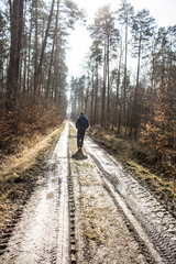 Obraz premium Beautiful road in the forest. Bright sky. Long road in the spring forest. Background.