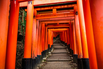 京都伏見稲荷 千本鳥居