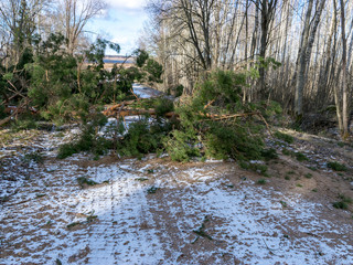 landscape with snowy country road