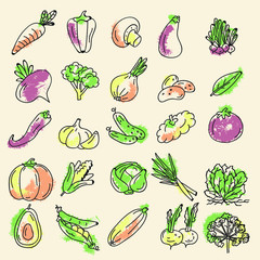 a set of vegetables colored stickers