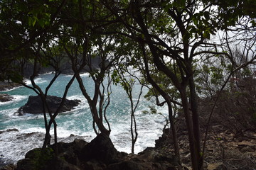 Fototapeta premium f noronha