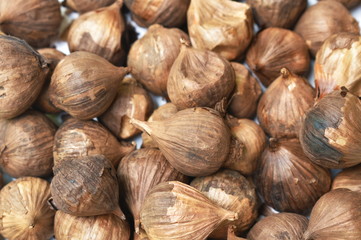 black garlic healthy food arranging on white background