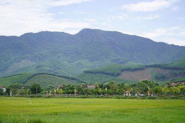 landscape with green fields and mountains in Phu Loc, Thua Thien Hue, Vietnam