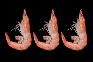 grilled shrimp on black background