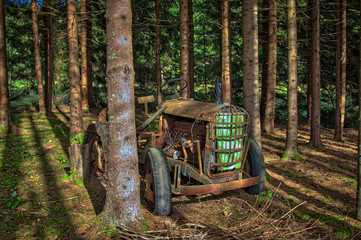Fototapeta na wymiar old rusty abandoned tractor in the forest