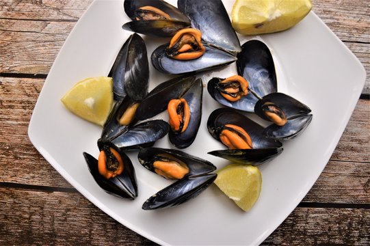 piatto di cozze impepata di cozze con pepe e limone frutti di mare