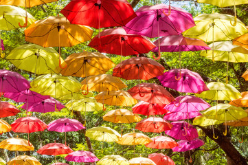 Fototapeta na wymiar Colorful umbrellas hanging on tree