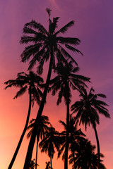 Silhouette coconut tree on sunset sky background