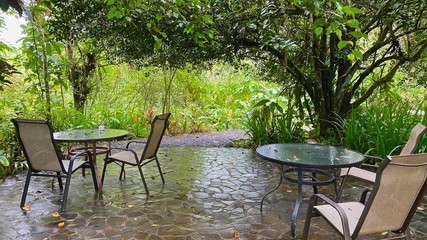 Fototapeta na wymiar Relaxing in the garden in Sarapiqui Rainforest, Costa Rica