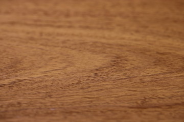 カリン板目