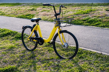 Yellow bike on green grass. Rental transport. Bicycle basket.